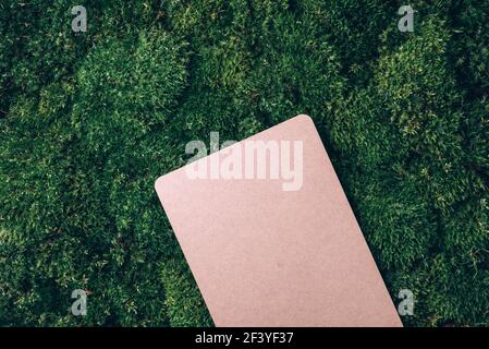 Top view of clipboard, paper, pen on green grass, moss background. Copy space. Flat lay. Office mock up, remote job. Wild nature, ecology concept Stock Photo