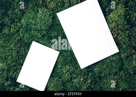 Creative layout made of square card note on green grass, moss background. Top view. Copy space. Advertising card, invitation. Wild nature, ecology Stock Photo