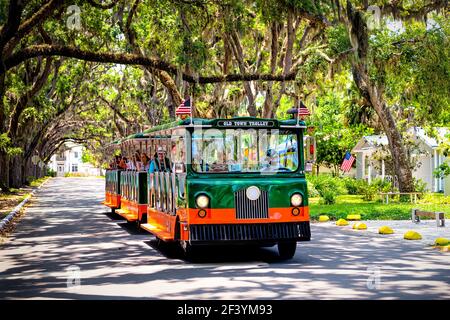 St. Augustine, USA - May 10, 2018: People riding on old town trolley guided tour on Magnolia avenue street road with live oak trees canopy and hanging Stock Photo