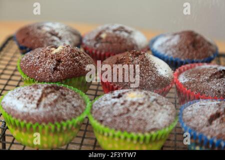 Home-baked chocolate cupcakes Stock Photo