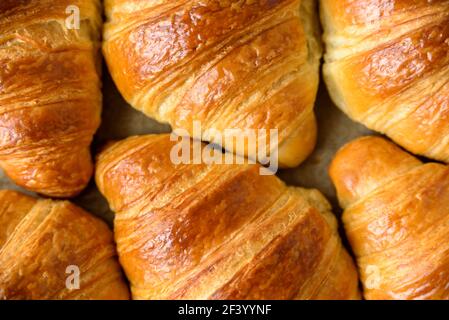 Fresh baked puff pastry croissants on baking paper Stock Photo