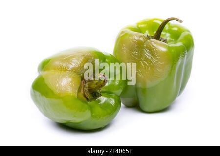 Rotten green bell pepper isolated on white background Stock Photo