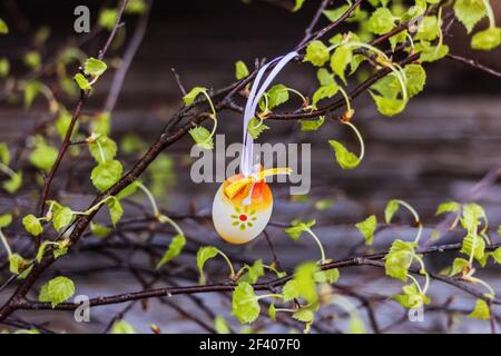 Real pretty little Easter egg hanging on branches of birch Stock Photo
