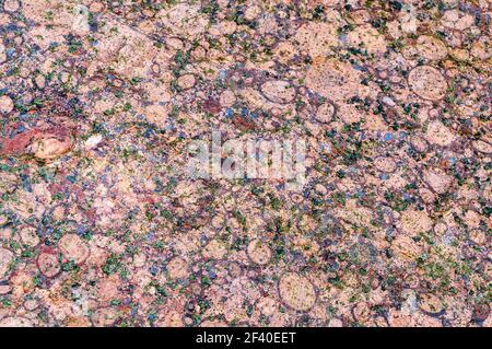 Spots and stripes are gray-red background. Textured red background. The texture of the sea stone is red-brown. Stock Photo