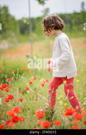 Cute little girl with four years old having fun in a poppy field Stock Photo