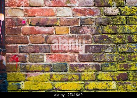 Old brick wall, old texture of red stone blocks half covered with lichen, copy space, frame for text.. Old brick wall, old texture of red stone blocks half covered with lichen Stock Photo