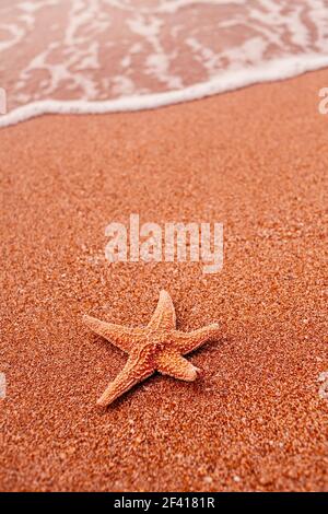 Starfish lying on sand and soft surf wave on background a lot of space for text. Starfish lying on sand and soft surf wave on background Stock Photo