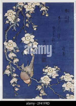 Katsushika Hokusai 葛飾北斎- Bullfinch Weeping Cherry Blossoms 1834 Stock Photo