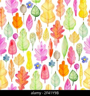 Watercolor autumn floral seamless pattern with flowers and leaves. Hand drawn nature background Stock Photo
