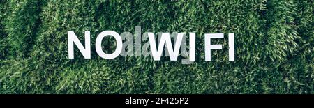 Word WIFI on moss, green grass background. Top view. Copy space. Banner. Biophilia design. Nature backdrop. Mental reset, digital detox. Unplugging Stock Photo