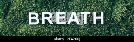 Word Breath on moss, green grass background. Top view. Copy space. Banner. Biophilia trend. Nature backdrop. Peace of Mind, health concept. Take a Stock Photo