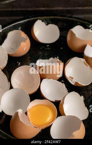 broken egg shells, one raw egg in a tray Stock Photo