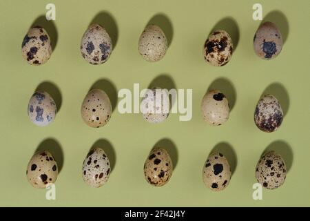 Quail eggs on green background. Flat lay, top view. Happy Easter concept. Stock Photo