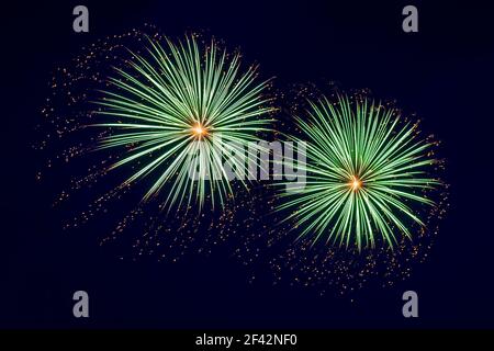 Closeup of fireworks in the sky. Two bright green blooms surrounded by gold sparkles. The sky is a very dark blue. Stock Photo