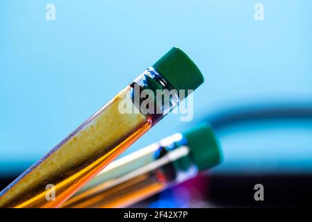 Two chemical test tubes with closed lids with orange liquid on blue background. Stock Photo