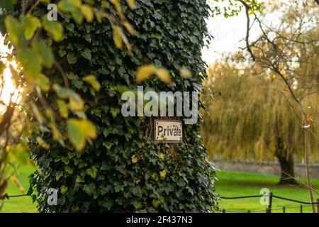 Private sign hanged on a tree with beautiful big green park and houses in the background Stock Photo