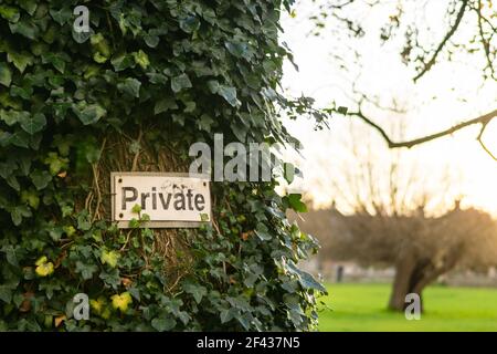 Private sign hanged on a tree with beautiful big green park and houses in the background Stock Photo