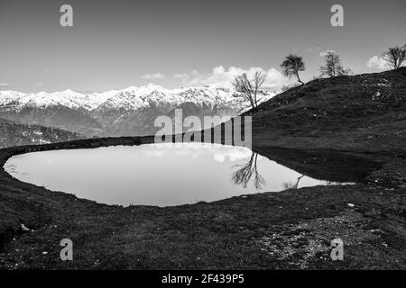 A grayscale shot of a small lake with the reflection of dry trees and sky on the background of snowy rocks Stock Photo