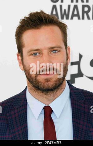 FILE PHOTO - LOS ANGELES, CA - FEBRUARY 23: Armie Hammer at the 34th Film Independent Spirit Awards on February 23, 2019 in Los Angeles, California. Photo: imageSPACE /MediaPunch Stock Photo