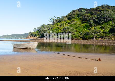 Small boat anchored on beautiful blue sky and water at Mulberry Grove Beach on Great Barrier, New Zealand. Stock Photo