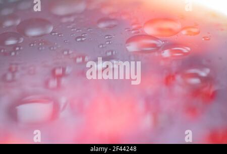 Wet dark glowing abstract background. Wet surface. Fresh pastel colors. Blurred background. Macro Stock Photo