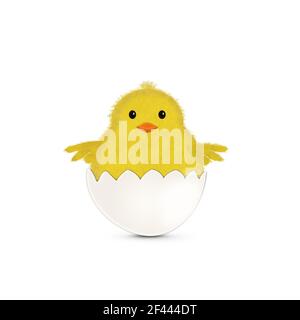 Cute spring chick coming out of egg shell. Stock Photo