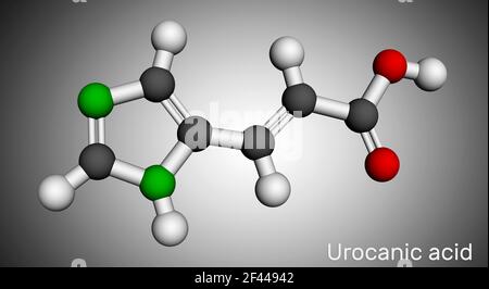 Urocanic acid molecule. It is intermediate product in the metabolism of histidine. Molecular model. 3D rendering. 3D illustration Stock Photo