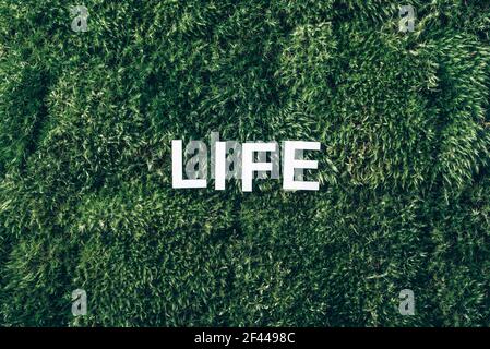 Word Life on moss, green grass background. Top view. Copy space. Banner. Biophilia concept. Nature backdrop Stock Photo