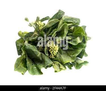 fresh baby broccoli isolated on a white background. Stock Photo