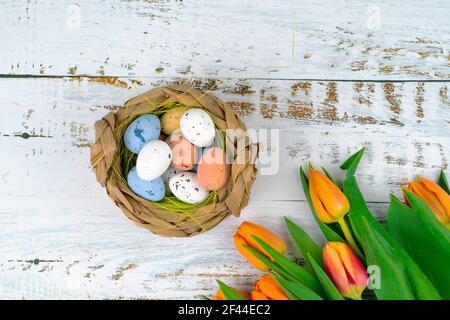 Multicolor Easter painted speckled eggs in basket on white wooden table with tulips. Traditional Spring composition Easter elements flowers and eggs for springtime. Spring decorations concept Stock Photo