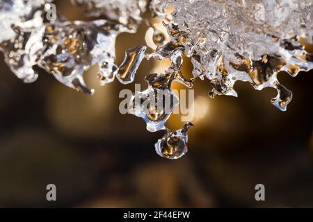 Close-up of spring melting icicles with bubbles of air on golden and dark brown background with selective blurred focus. Springtime concept. Macro. Co Stock Photo