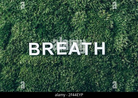 Word Breath on moss, green grass background. Top view. Copy space. Banner. Biophilia trend. Nature backdrop. Peace of Mind, health concept. Take a Stock Photo