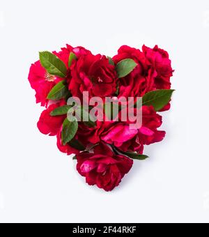 Heart shaped red roses on white. Fragrant roses isolated on white background. Roses with copy space for text. Stock Photo