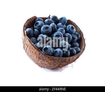 Blueberries in coconut shell isolated on white background. Blueberries  in bowl isolate. Background berries. Various summer berries. Berries with copy Stock Photo