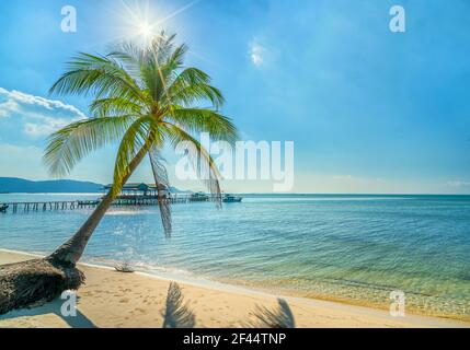 Sunny seascape with tropical palms on beautiful sandy beach in Phu Quoc island, Vietnam. This is one of the best beaches of Vietnam. Stock Photo
