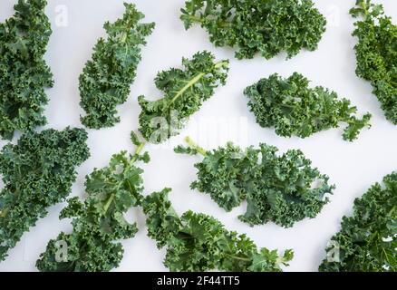 Kale leaves on white background. Top view. Kale leaves with copy space for text. Background of kale leaves. Kale on white background. Stock Photo