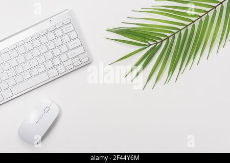 Workspace with computer keyboard and green leaf on white background. Top view with copy space. Stock Photo