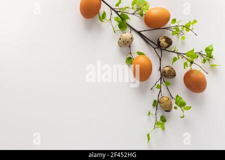 Birch branch with young green leaves and chicken and quail eggs on a white background, Easter concept Stock Photo