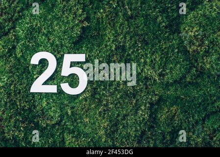 Green grass, digit twenty-five. Birthday greeting card with inscription 25. Anniversary concept. Top view. White numeral on eco moss background Stock Photo