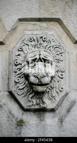 Carved Stone Lion Detail from the Temple of Jupiter in Baalbek Lebanon ...