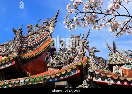 Spring in Taipei. Spring time cherry blossoms in Longshan Temple of Taipei, Taiwan. Stock Photo