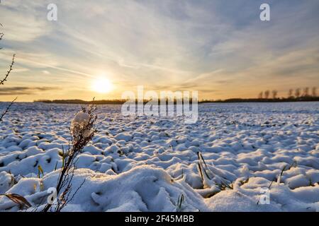 white snow on a large field with sunset Stock Photo