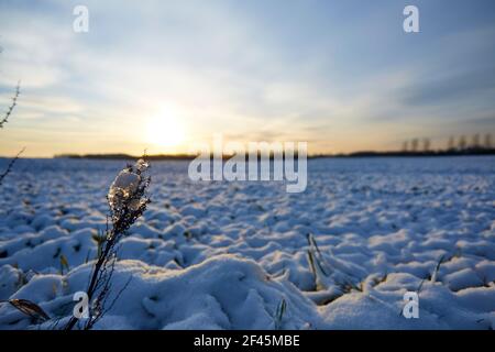white snow on a large field with sunset Stock Photo