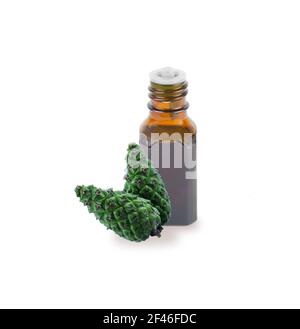 A bottle with fir tree essential oil. Essential oil fir tree isolated on white background. Essential oil aromatherapy, spruce cone. Aromatherapy, perf Stock Photo