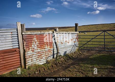 Rusting corrugated iron sheeting used as fencing Stock Photo
