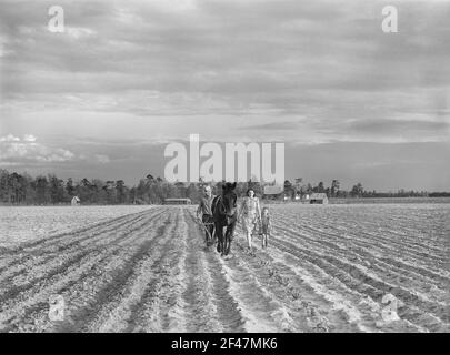 Levy Usher and his Family plowing their two-acre tract in the Community Garden at Hazlehurst Farms, Georgia, USA, Jack Delano, U.S. Farm Security Administration, April 1941 Stock Photo