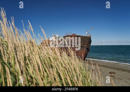 San Gregorio, Argentina-27.11.2018 old rusty and rotten ship wreck with holes in carcass, lying behind long gras on the beach of the coast line of the Stock Photo