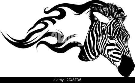 draw in black and white of zebra head with flames Vector illustration design Stock Vector