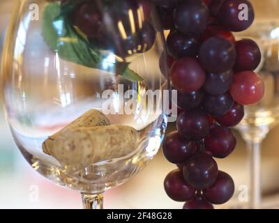 Glass with wine corks and red grapes Stock Photo