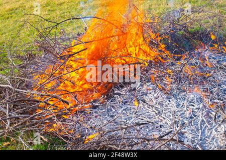 Bonfire in the meadow. Dry tree branches burn in a bright flame. Cleaning old plants and burning garbage in the garden.. Stock Photo